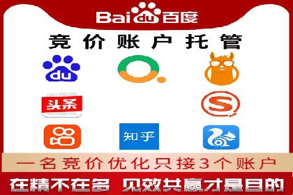 百度竞价排名实战：某行业领先企业的成功之路